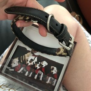 Coach dog collar